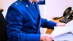 Прокуратурой организована проверка по факту нападения собак на ребенка в Аксайском районе